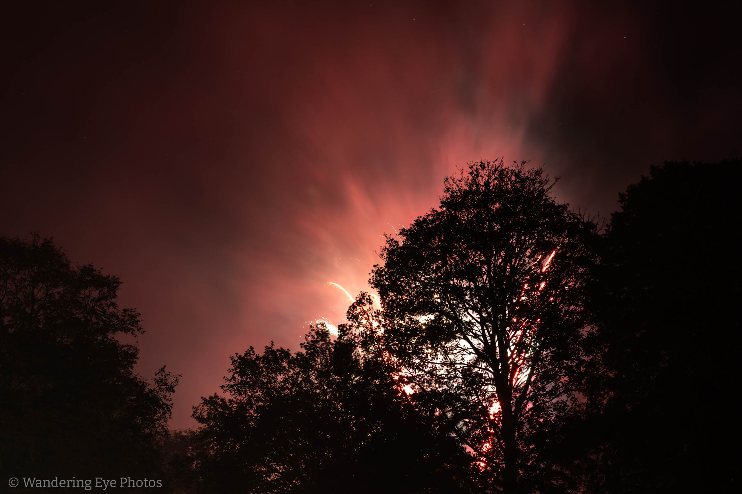 11.04 19.44.49   DSC09281